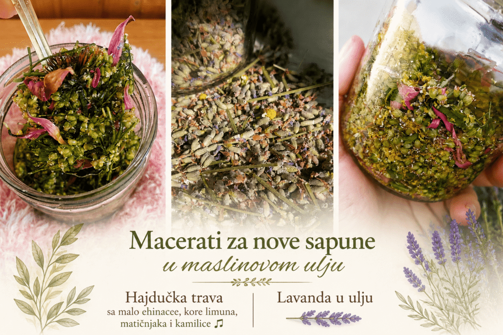 macerati za Mlecni eliksir